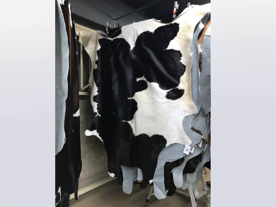Natural cowhide hanging on rack at Rustic Furniture Warehouse in Lubbock, Texas.